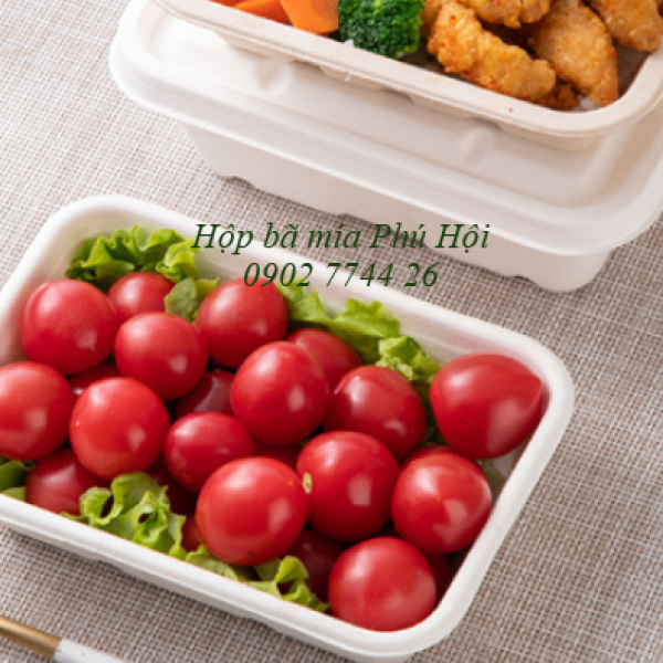 Hộp bã mía 1 ngăn kèm nắp bã mía 700ml